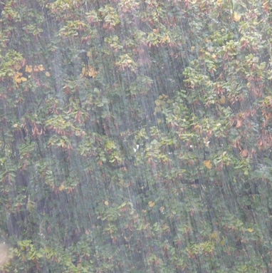 A torrent of pouring down rain